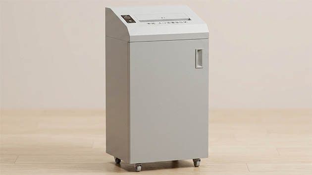 New United M2250HS+. Фото: Татьяна Фадеева / Нейросеть