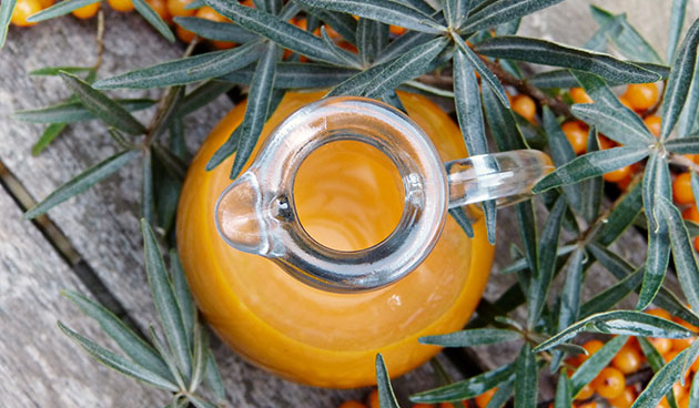 Морс из облепихи с медом