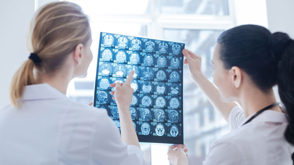 Международный день невролога в 2025 году: история и традиции праздника