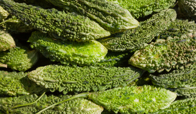 Что за растение момордика