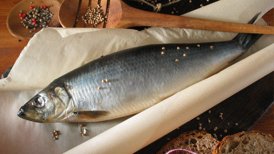 Как правильно хранить рыбу: 20+ советов, как сохранить вяленую, сушеную ...