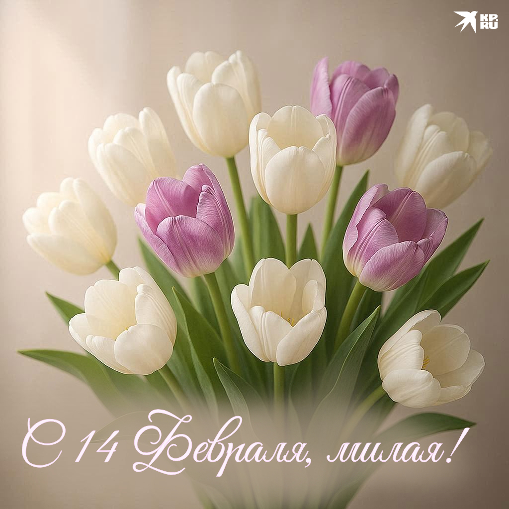 Милые открытки на 14 Февраля девушке, женщине, жене