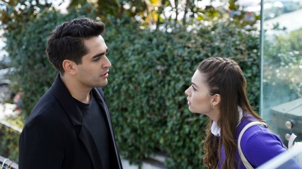 Три причины, по которым отношения Сейран и Ферита в «Зимородке» обречены на провал