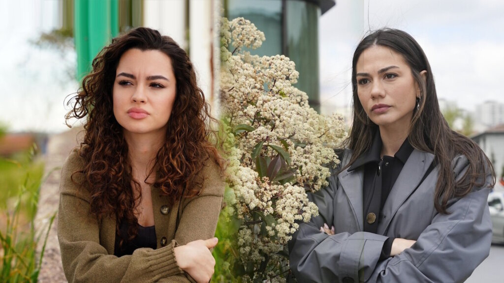 Топ-10 самых популярных турецких актрис в возрасте до 35 лет