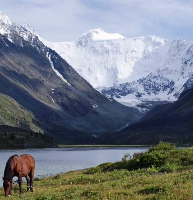 гора белуха