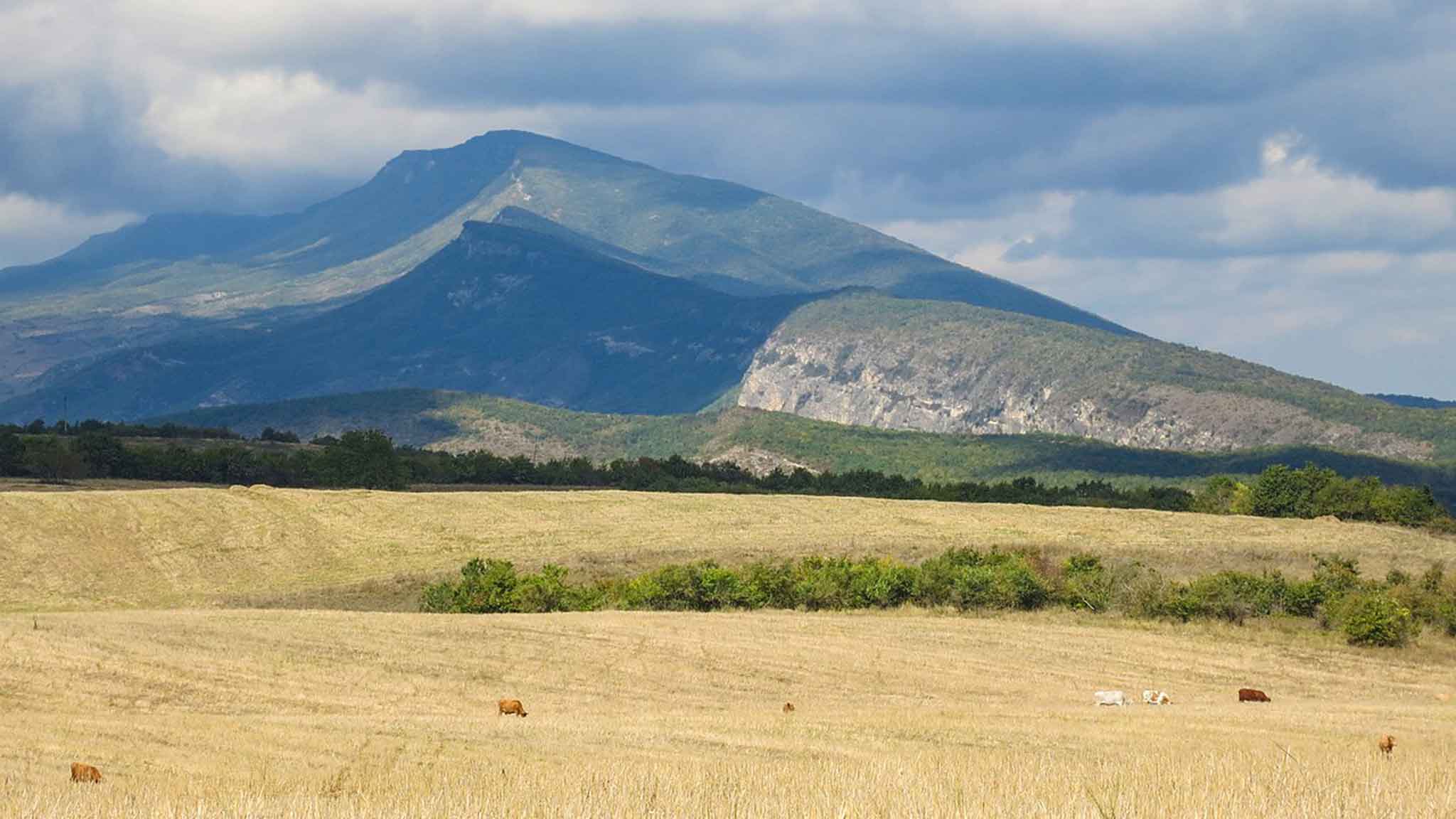 Новый Год В Дагестане Для Туристов Новый Год В Дагестане Для Туристов