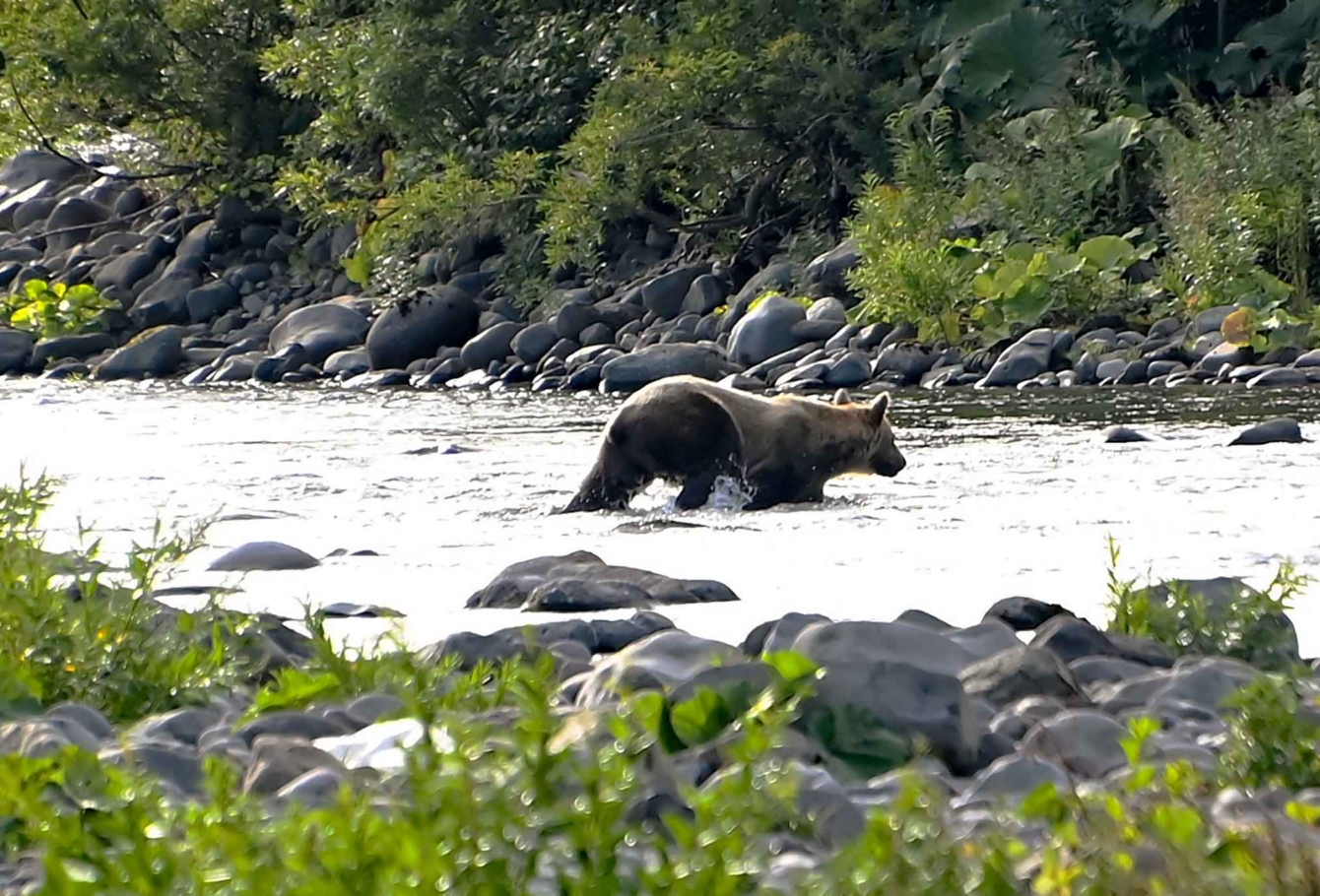 экспедиция на курилы 47(2)