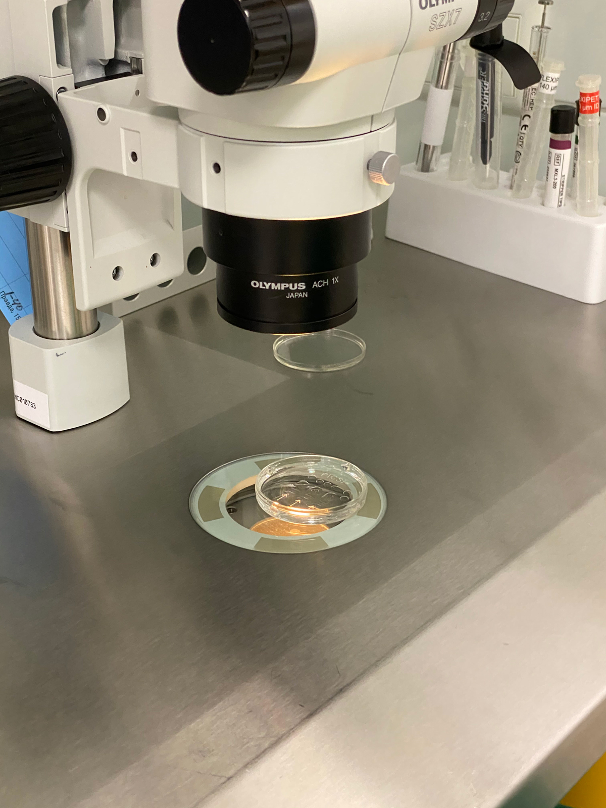 Клиника репродуктивной и пренатальной медицины ЕМС в Москве: отзывы ...