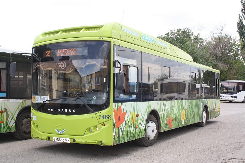 покажи где сейчас автобусы. волгоградский автобусный завод. 21 автобус. маз 103. покажи где сейчас автобусы.