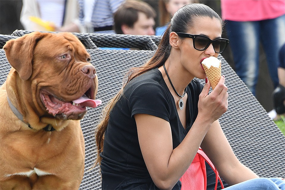 Пломбир считается одним из популярнейших сортов мороженного.
