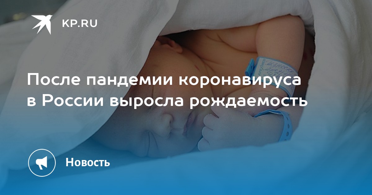 ���� �������� + ��������� �����������: ����.