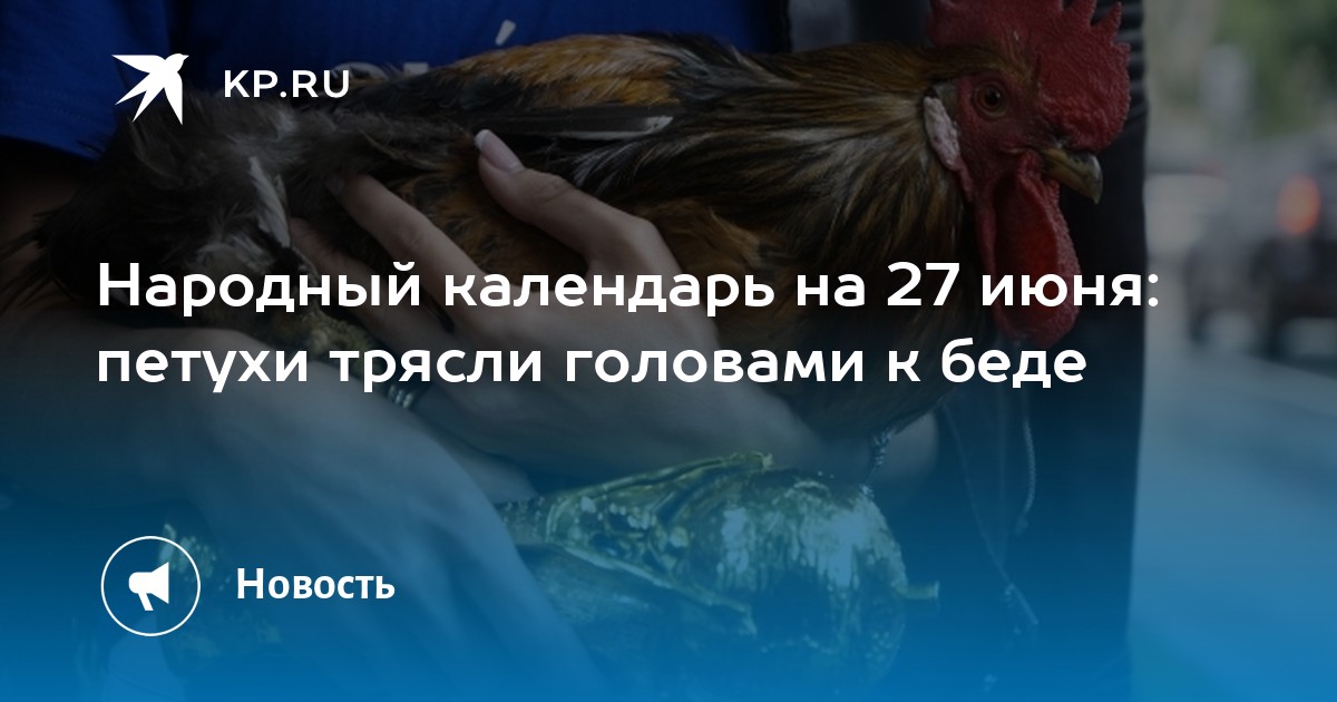Народный календарь на 27 июня: петухи трясли головами к беде - Vimarsana News