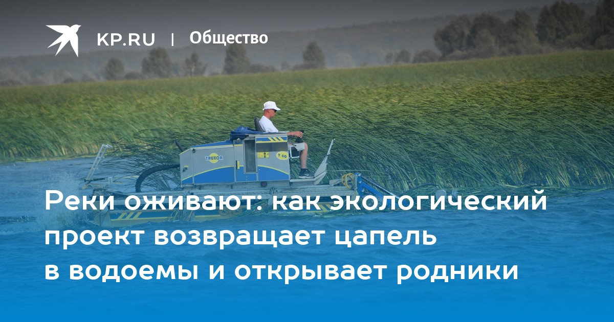 Реки оживают: как экологический проект возвращает цапель в водоемы и открывает родники - Vimarsana News