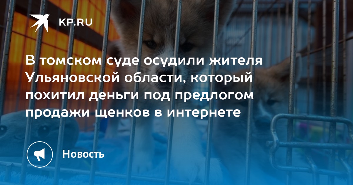 игра на деньги в интернете законно игра на деньги в интернете законно
