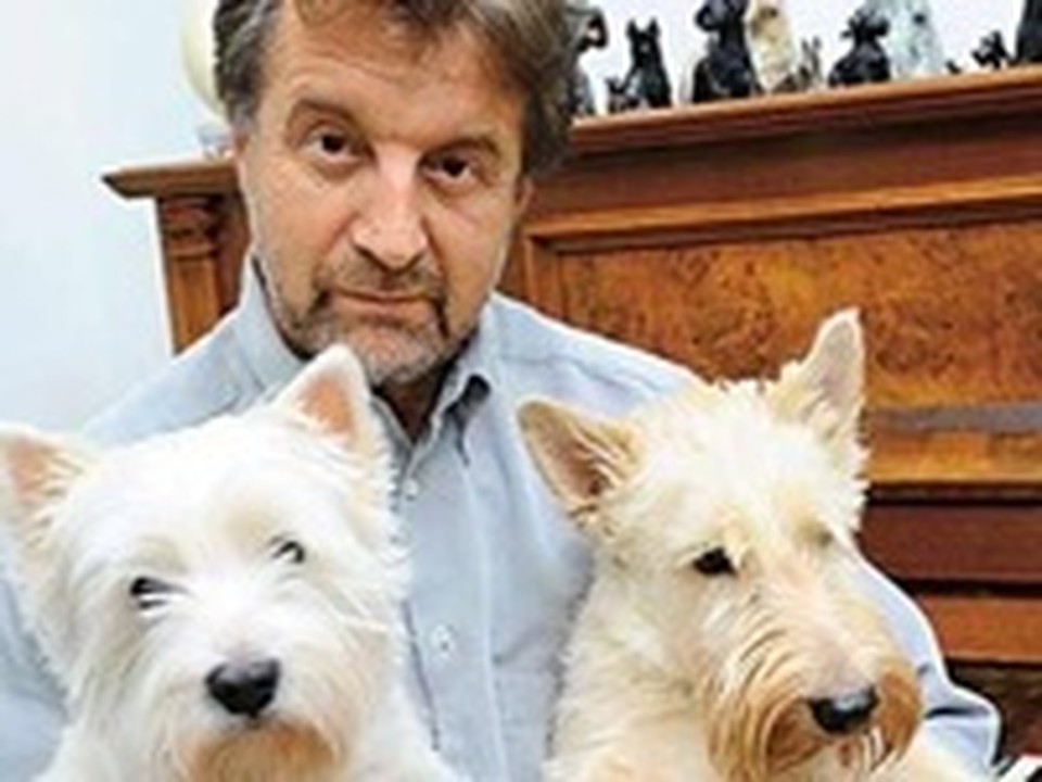 игра нам нужны деньги игра нам нужны деньги