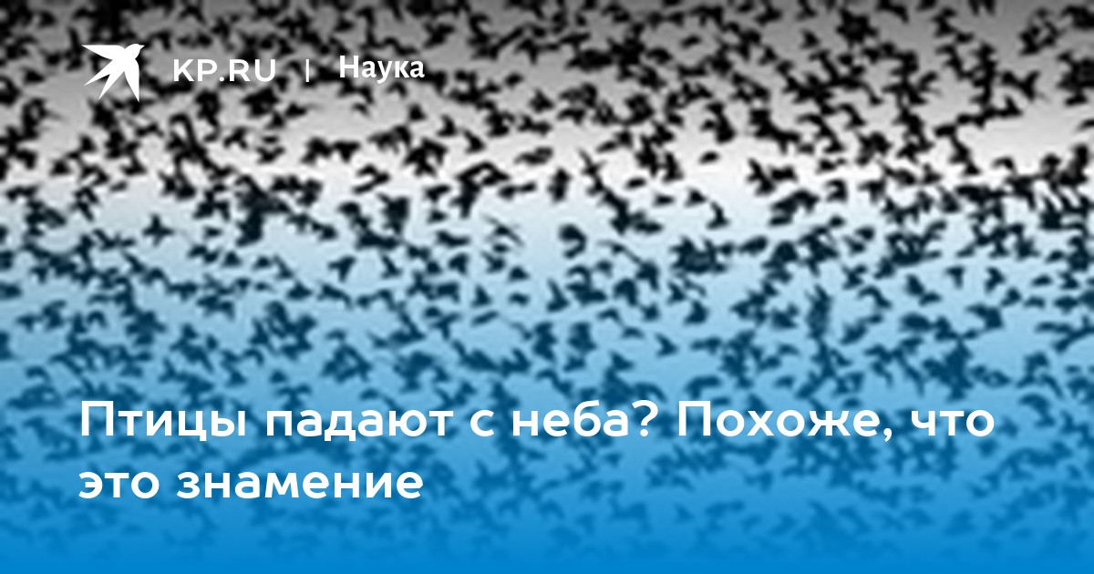 Птицы падают с неба? Похоже, что это знамение