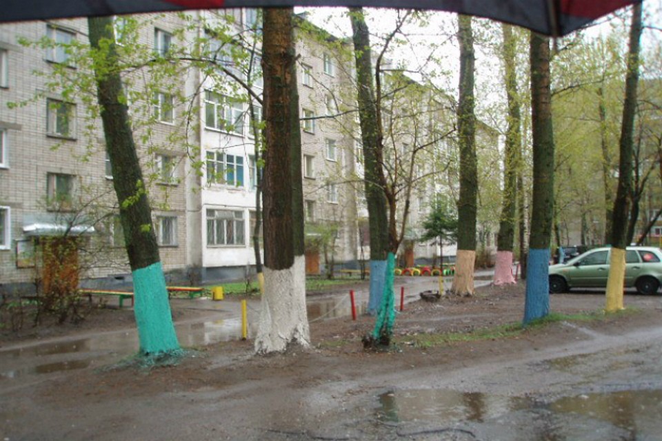 Улицы Покрашенные Фото