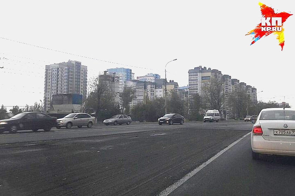 волгоград проспект лентна нет волы насмерть придавило