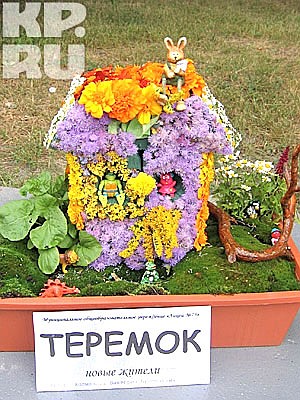 красивые выставки цветов. выставка цветов в москве на вднх. выставка цветов ижевск 2024. выставка цветов ижевск на советской. фестиваль цветов в екатеринбурге.