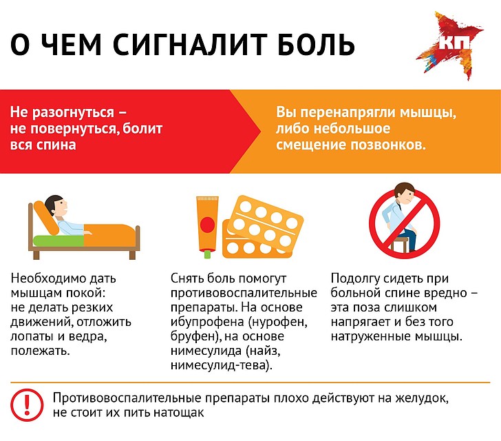 блестящая болит мышца справа от позвоночника этом