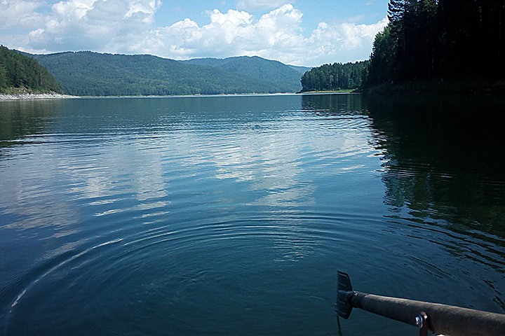 Фото: Сергей КОСЕНКО