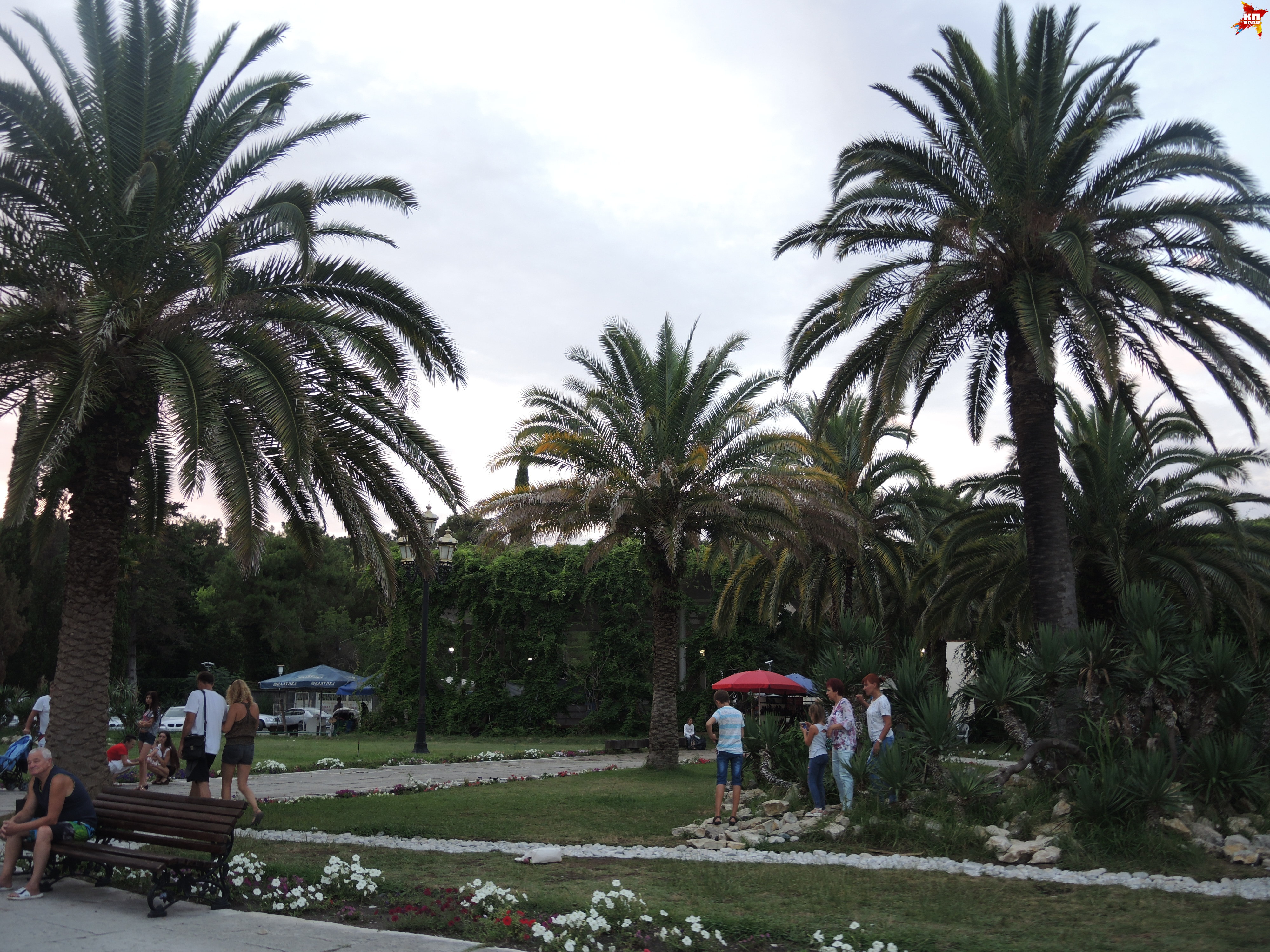 Абхазия - экзотический отдых!