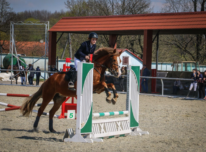 Будущая звезда конкура. Точнее, сразу две.