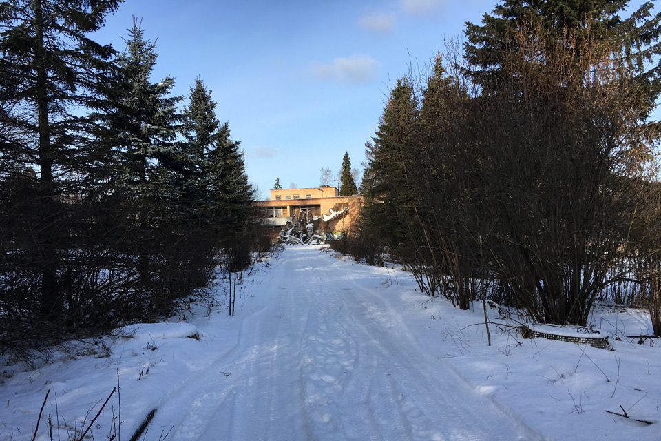 "Сказка" была построена в хвойном лесу.