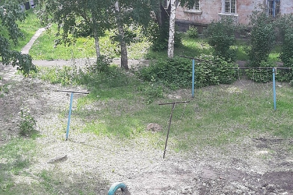 Поваленные деревья погнули железки для бельевых веревок Фото: из личного архива героя(ев) публикации
