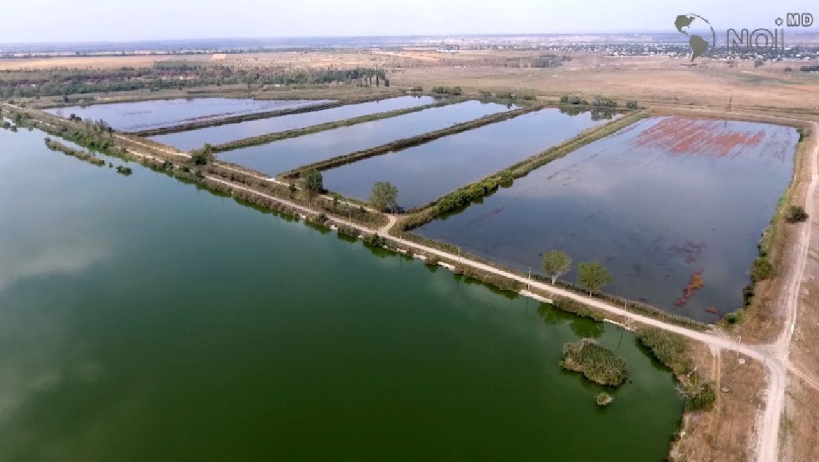 Piscicola Gura Bîcului