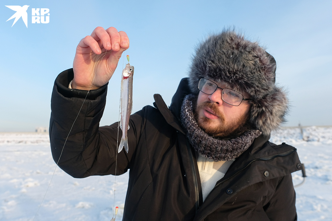 Петербургская корюшка считается средней. За крупными экземплярами нужно отправляться на Балтику.