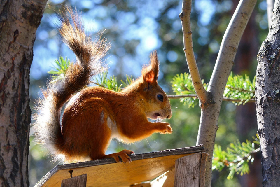 В регионе нужно развивать экотуризм и инфраструктуру для него.