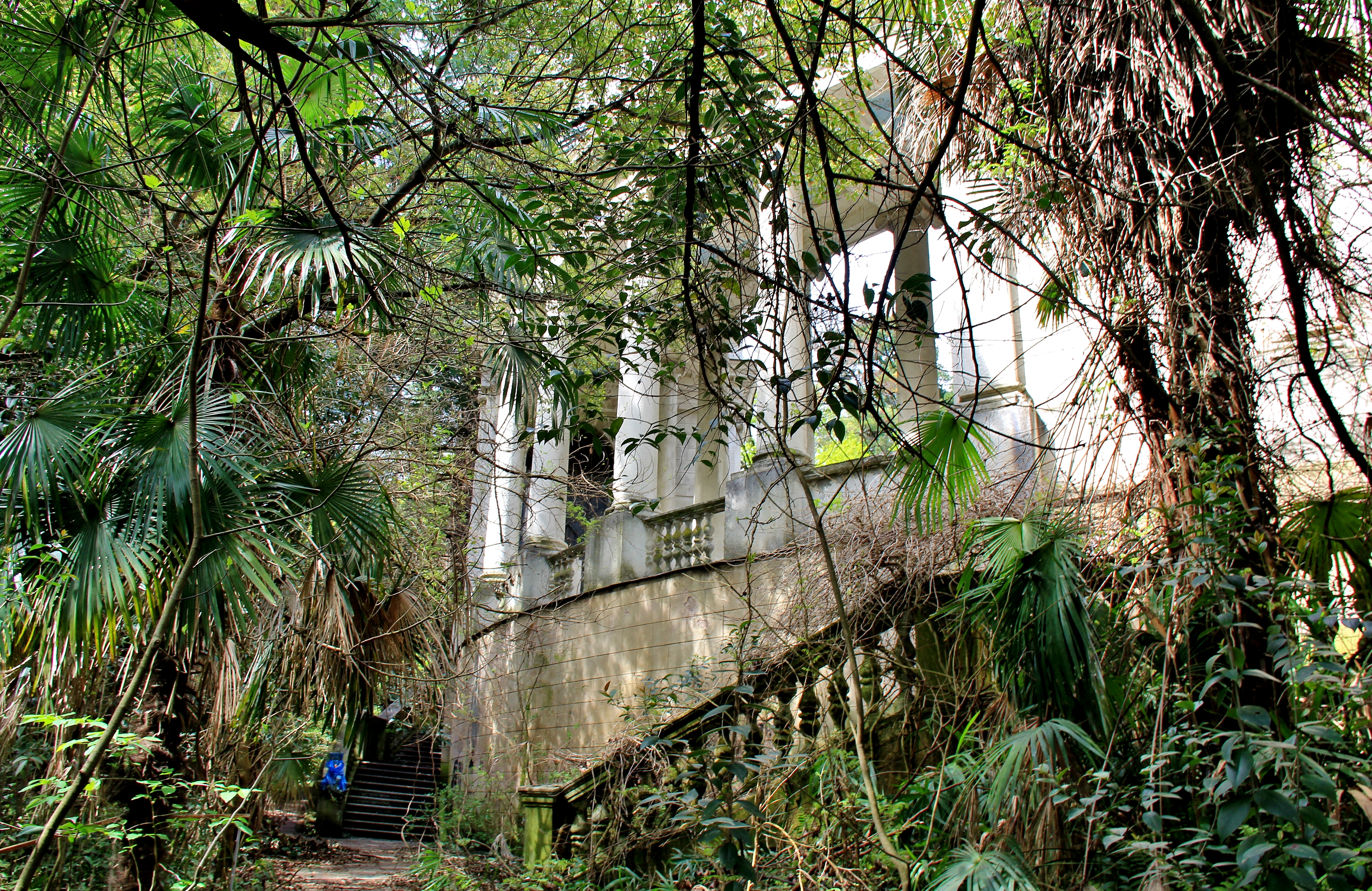 Санаторий зарос