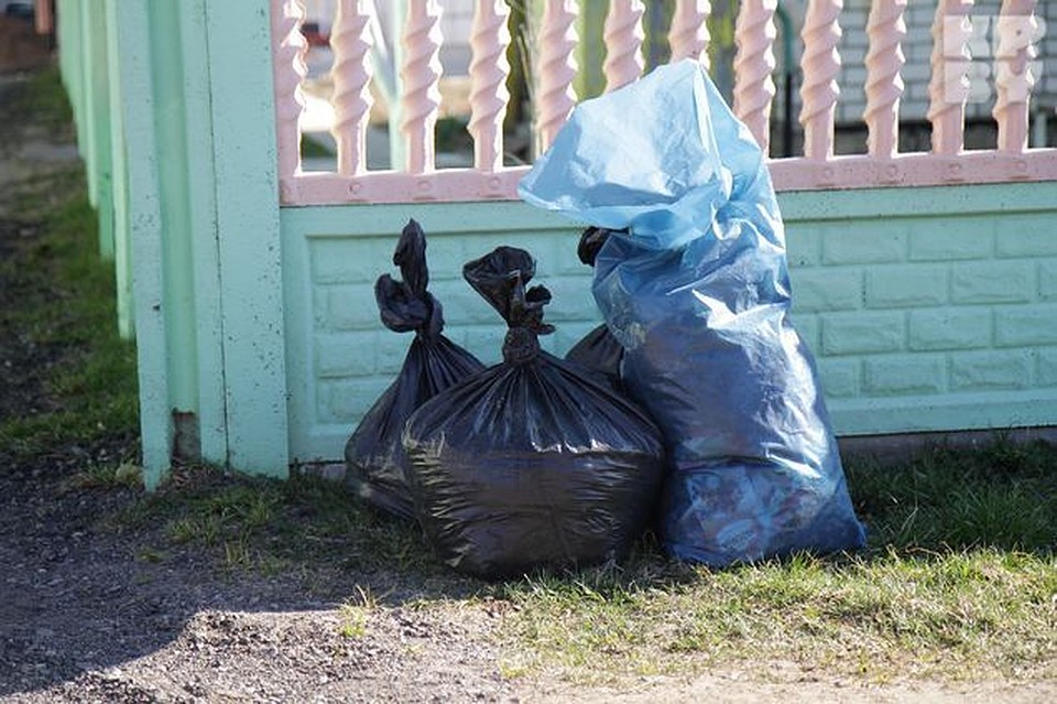 мусор не складывать картинки что благодаря симбиозу