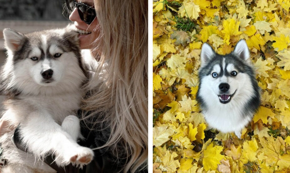 Юлия Ефимова, плавание