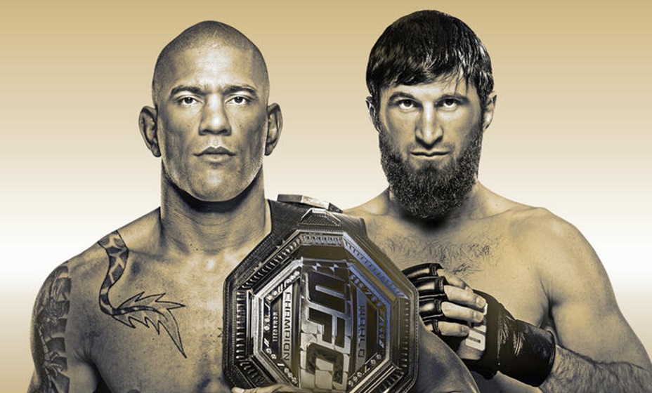 Вартанян заявил, что Анкалаев победит Перейру. Фото: UFC.com