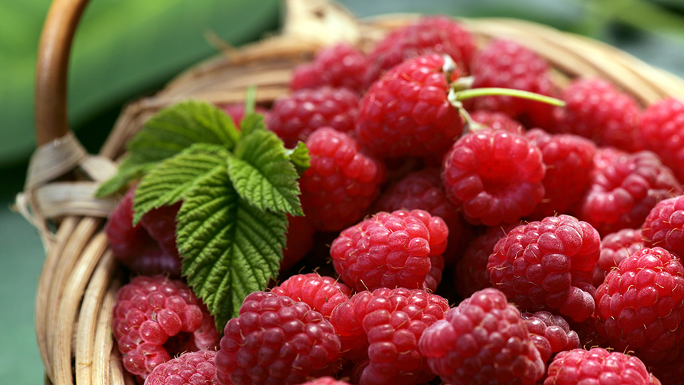 К чему снится малина 